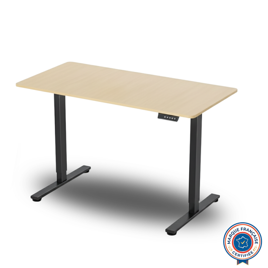 BUREAU ÉLECTRIQUE AJUSTABLE 120x60cm MCT-1